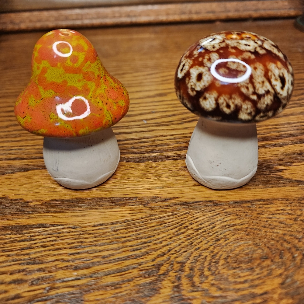 VINTAGE Mushroom salt & pepper shakers